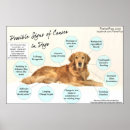 Search for vet posters Dog