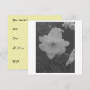 Search for white daffodil invitations Nature