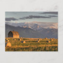 Search for framing postcards Farming