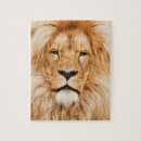 Search for lion puzzles Wildcat