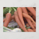Search for carrot postcards Green