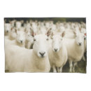 Search for farm pillowcases Sheep