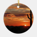Search for arizona christmas tree decorations Sunset