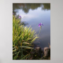 Search for japanese garden art Gardens