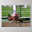 Search for animal tracks posters Race