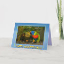 Search for lori cards Parakeet