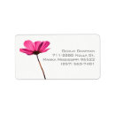 Search for nice return address labels Pretty