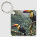 Search for colorful bird key rings Tropical