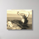 Search for driftwood canvas prints Beach