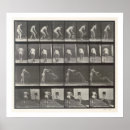 Search for eadweard muybridge posters Photography