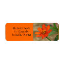 Search for zinnia return address labels Garden
