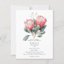Search for protea postcards Floral