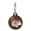 Search for looney tunes taz Tasmanian devil