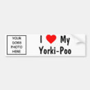 Search for yorkies bumper stickers Terrier