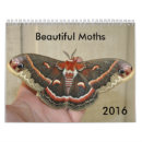 Search for moth calendars Nature
