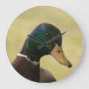 Search for quack art Mallard