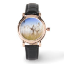 Search for deer watches Fawn
