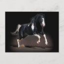 Search for viii postcards Portrait