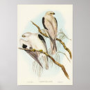 Search for shoulders posters Animal
