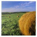Search for bale tiles Farm