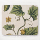 Search for fruit tree mouse mats Garden