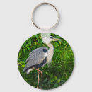 Search for wading key rings Great blue heron