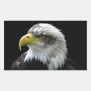 Search for bald rectangle stickers America