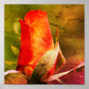 Search for up art Red
