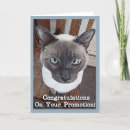 Search for funny promotion cards Cat