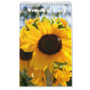 Search for verses photography Inspiration