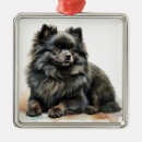 Search for black pomeranian christmas tree decorations Puppy