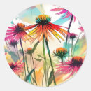 Search for coneflowers stickers Floral