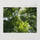 Search for leaf postcards Green