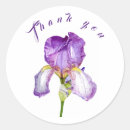 Search for purple iris stickers Thank you