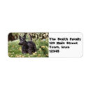 Search for scotty dog return address labels Pet