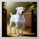 Search for dogo posters Breed