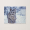 Search for lynx puzzles Predator