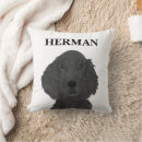 Search for be flat cushions Flat coated retriever