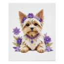 Search for yorkshire terrier posters Animal