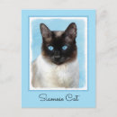 Search for siamese postcards Cute