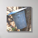 Search for maple canvas prints Tree