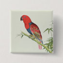 Search for ornithology badges Ornithological