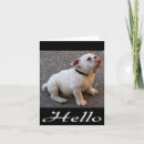 Search for english bulldog cards Thinking of you