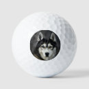 Search for siberian husky dog golf equipment Animal