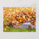 Search for rake postcards Fall