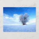 Search for alone horizontal postcards Tree