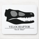 Search for bones electronics Dinosaurs