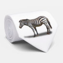 Search for zebras ties Dad
