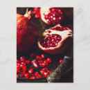 Search for pomegranate postcards Tropical