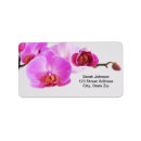 Search for orchid labels Botanical